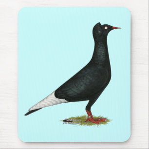 Flying Flight Black Cap Pigeon Mouse Mat