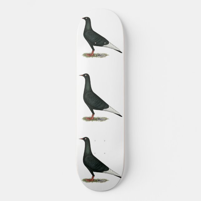 Flying Flight Black Pigeon Skateboard (Front)