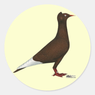 Flying Flight Cap Pigeon Classic Round Sticker