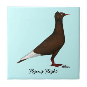 Flying Flight Cap Pigeon Tile