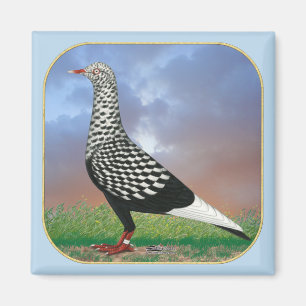 Flying Flight Pigeon and Clouds Magnet