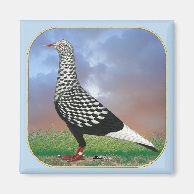 Flying Flight Pigeon and Clouds Magnet (Front)