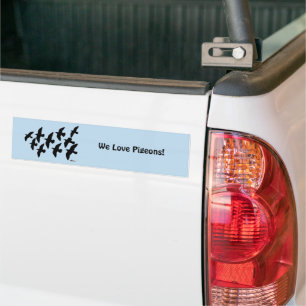 Flying Flight Pigeons Bumper Sticker