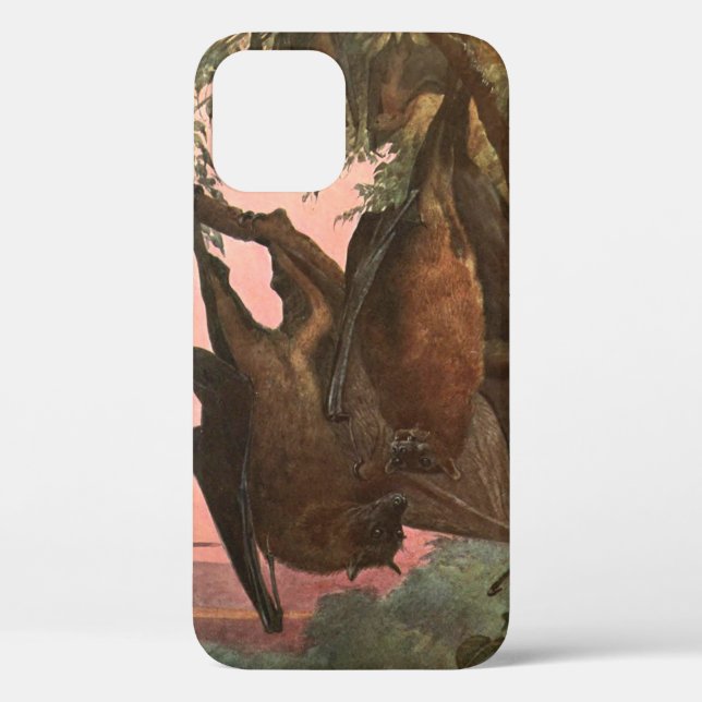 Flying Fox Bats by Austen, Vintage Wild Animals Case-Mate iPhone Case (Back)