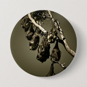 Flying Foxes 7.5 Cm Round Badge