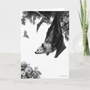 Flying Foxes Cards