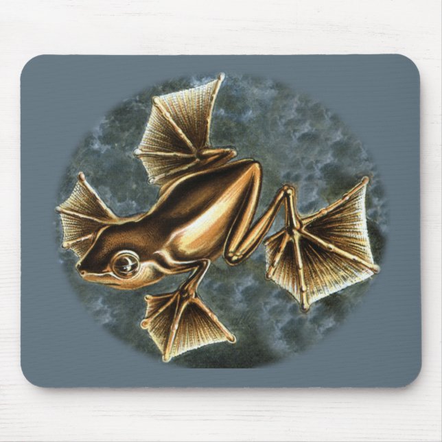 Flying Frog Mouse Mat (Front)
