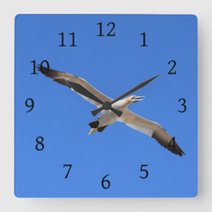 Flying Gannet Bird Blue Sky Square Wall Clock