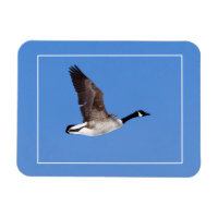 Flying Goose