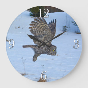 Flying Great Grey Owl Wildlife Photo Portrait I Large Clock