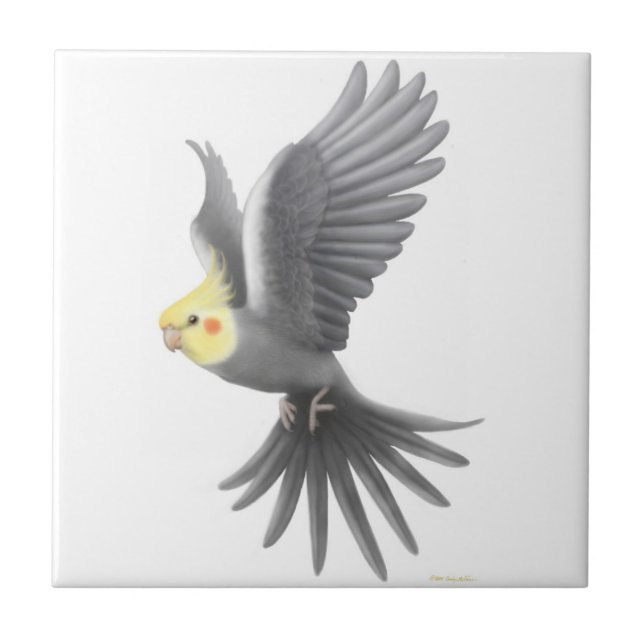 Flying Grey Cockatiel Parrot Tile (Front)