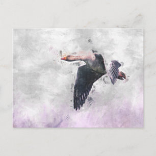 Flying Greylag Goose Postcard
