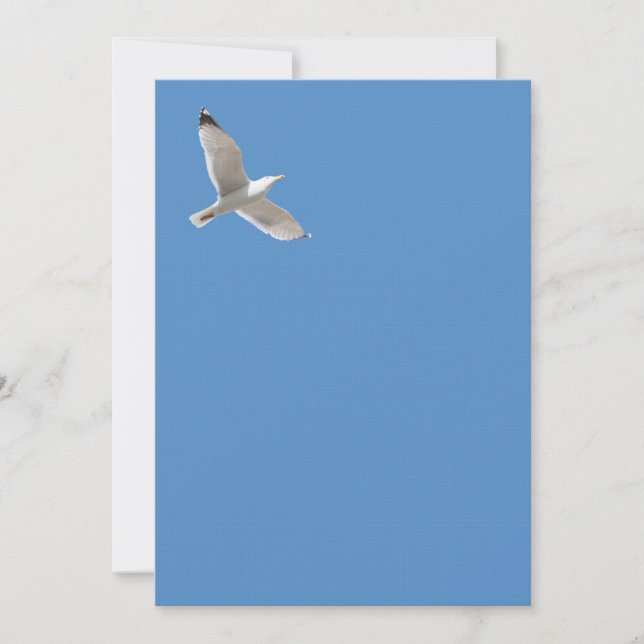 Flying gull (Front)