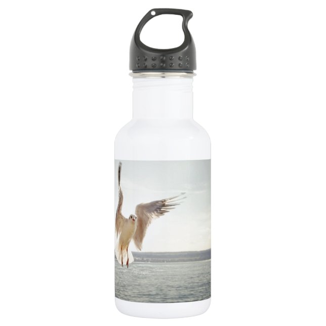 Flying Gull 532 Ml Water Bottle (Front)