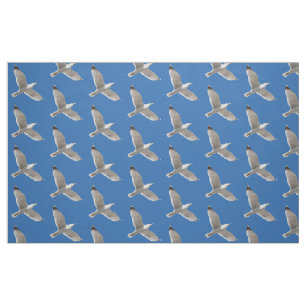 Flying gull fabric