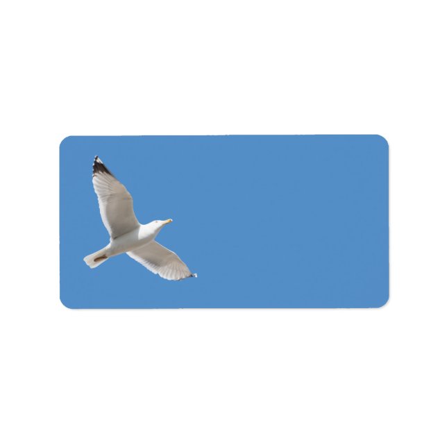 Flying gull label (Front)