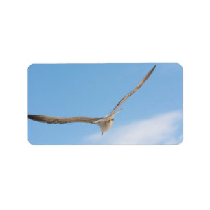 Flying gull label