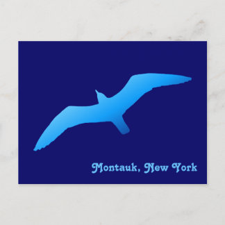 Flying Gull Postcard