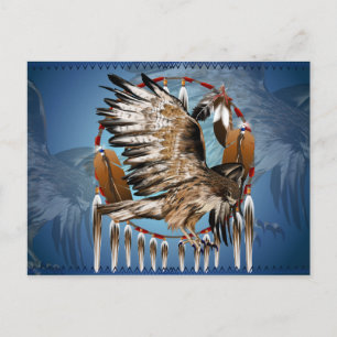 Flying Hawk Dreamcatcher Postcard