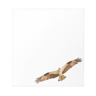 Flying Hawk Notepad