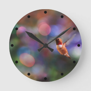 Flying Hummingbird and Colourful Background Round Clock