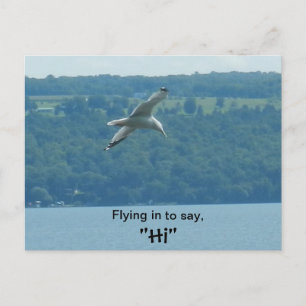 FLYING IN TO SAY "HI" postcard