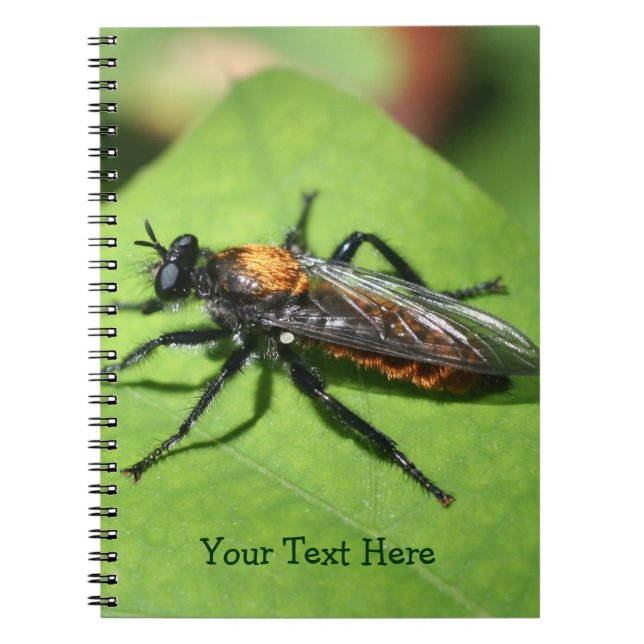 Flying Insect Nature Notebook (Front)