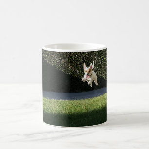 Flying Jack Russell Mug