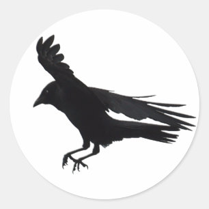 Flying Landing Black Crow Art Classic Round Sticker