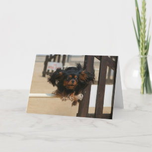 Flying Maia black & Tan Cavalier King Charles Card
