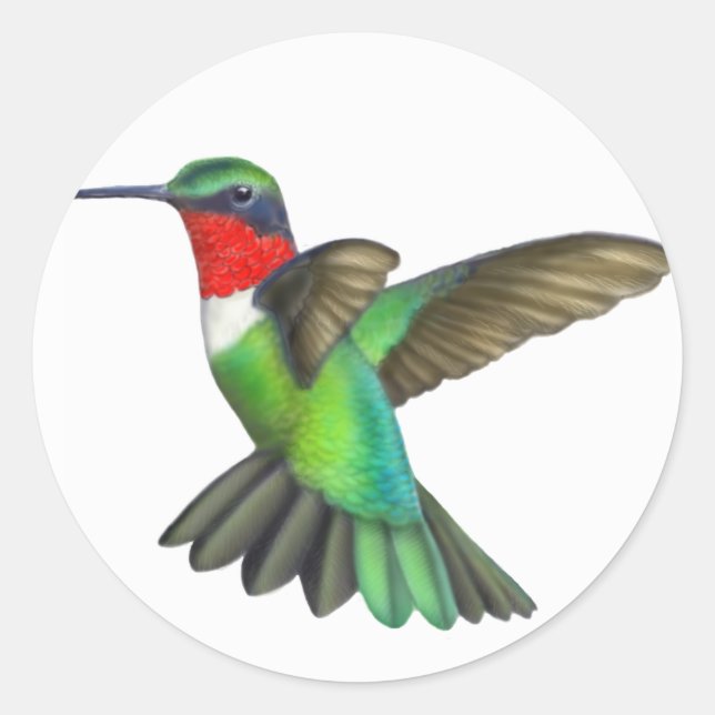 Flying Male Ruby Throated Hummingbird Sticker (Front)