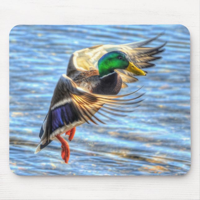 Flying Mallard Duck Birdlover Wildlife Photo Mouse Mat (Front)