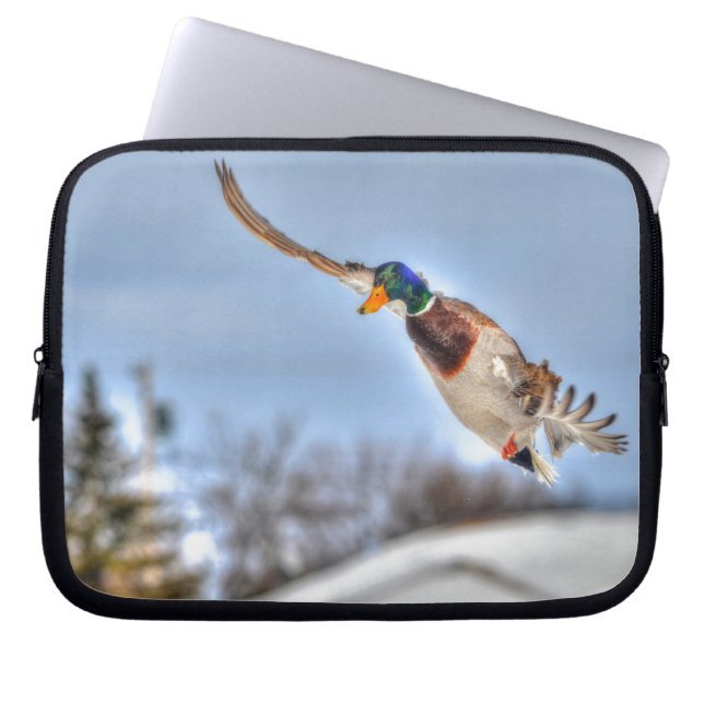 Flying Mallard Duck Drake 2 Wildlife Photo Laptop Sleeve (Front)