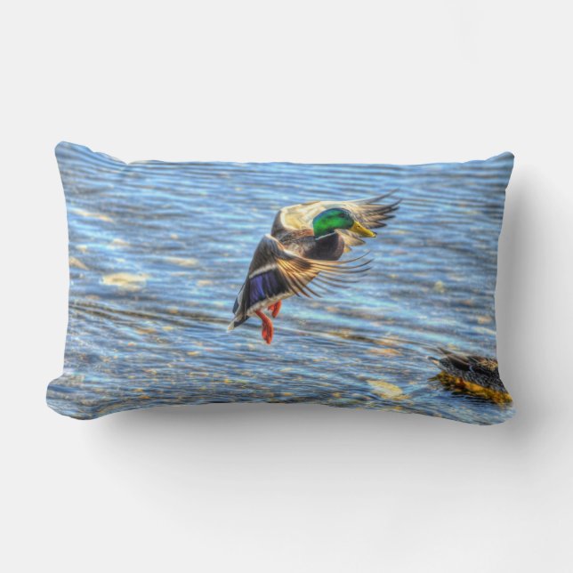 Flying Mallard Duck Drake Wildlife Photo Lumbar Cushion (Front)
