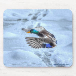 Flying Mallard Duck Drake Wildlife Photo Mouse Mat