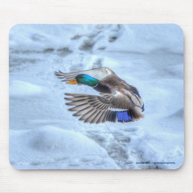 Flying Mallard Duck Drake Wildlife Photo Mouse Mat (Front)