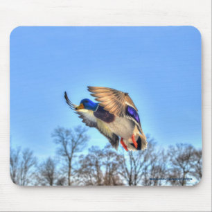 Flying Mallard Duck Drake Wildlife Photo Mouse Mat