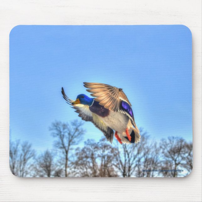 Flying Mallard Duck Drake Wildlife Photo Mouse Mat (Front)