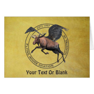 Flying Moose Aviation