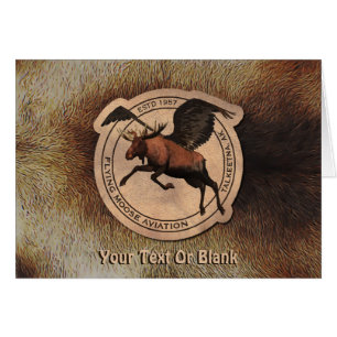 Flying Moose Aviation