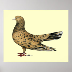 Flying Oriental Roller: Almond Poster