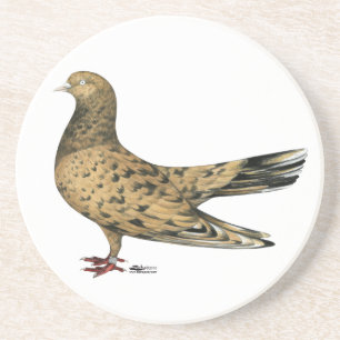 Flying Oriental Roller Pigeon Almond Coaster