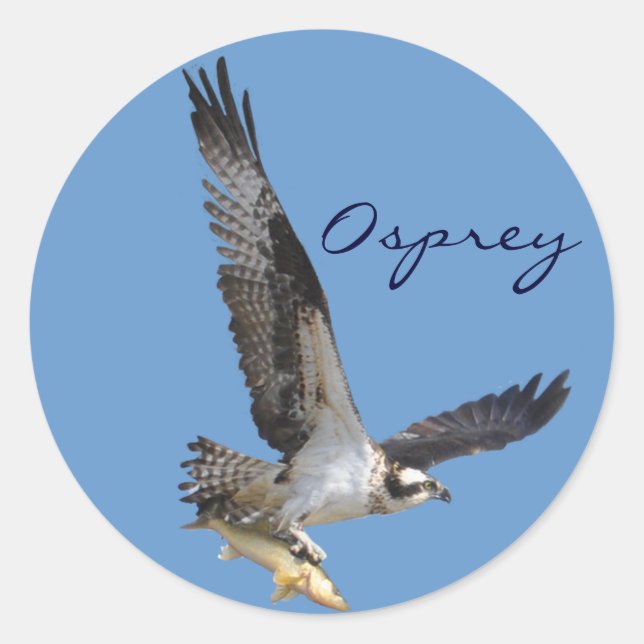 Flying Osprey & Fish Wildlife Photography Classic Round Sticker (Front)