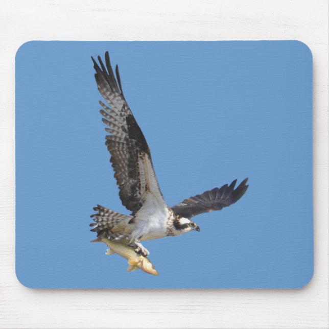 Flying Osprey & Fish Wildlife Photography Mouse Mat (Front)