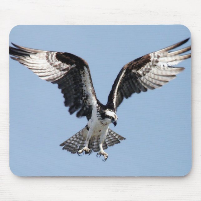 Flying Osprey Mouse Mat (Front)