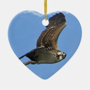 Flying Osprey Ornament