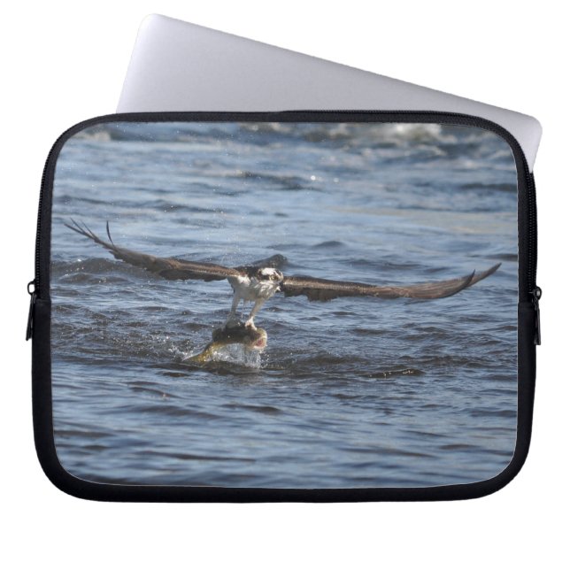Flying Osprey Raptor Wildlife Sleeve (Front)