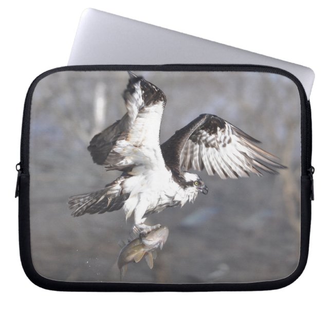 Flying Osprey Raptor Wildlife Sleeve (Front)