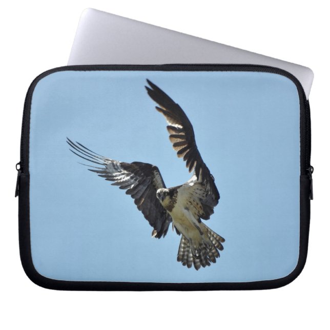 Flying Osprey Raptor Wildlife Sleeve (Front)