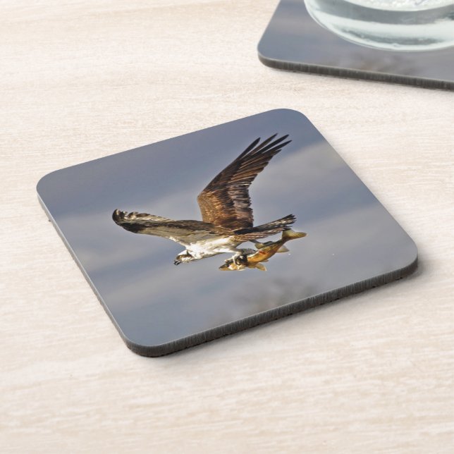 Flying Osprey with Walleye Fish HDR Photo Coaster (Left Side)